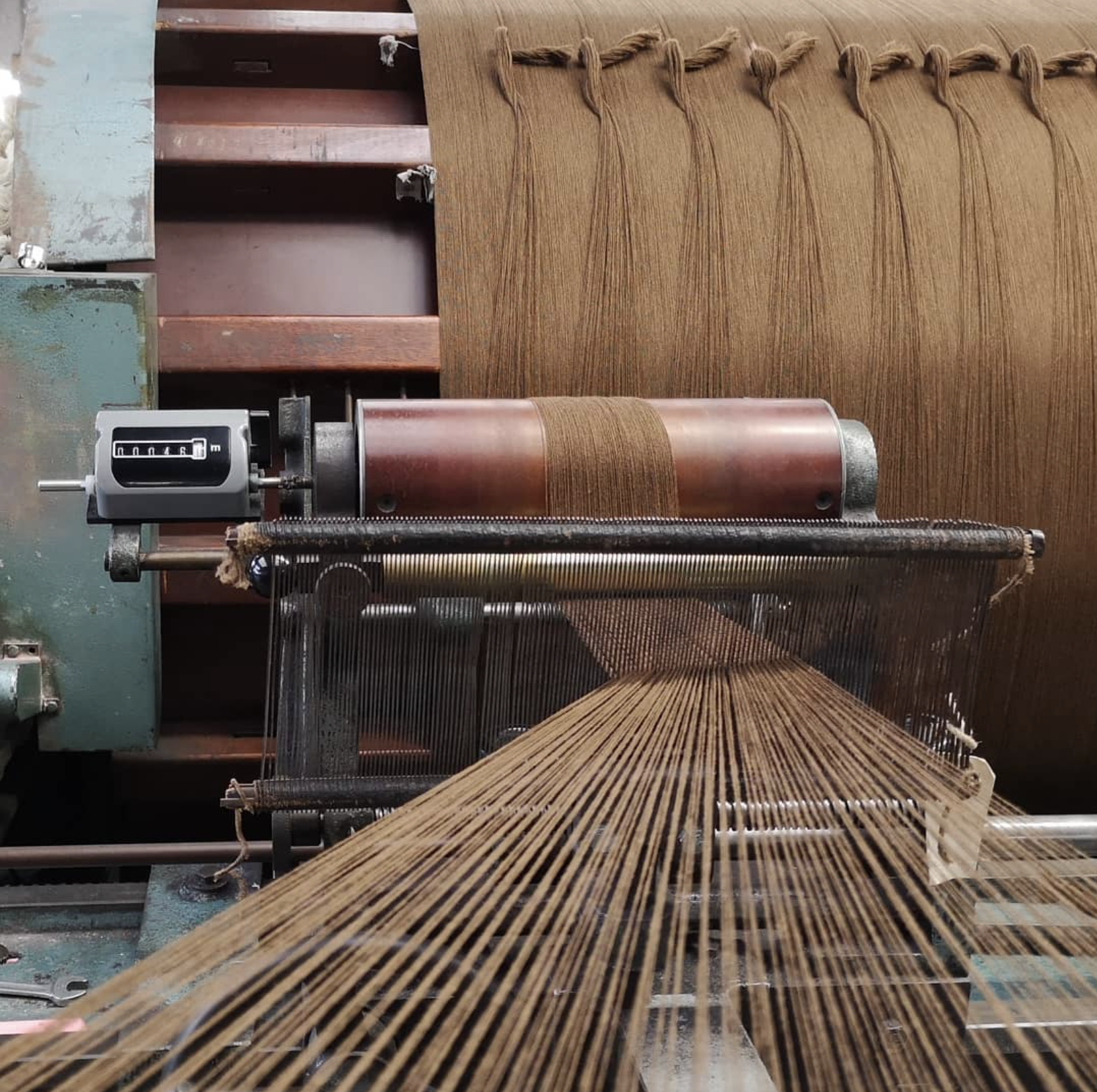 FOX BROTHERS — Manolo Costa